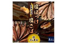 【北海道産】塩ホッケ＆塩サバセット 各200g以上×5枚【er002-039-a】