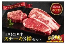 【えりも短角牛】ステーキ３種食べ比べセット【er007-015】（サーロイン サーロインステーキ リブロース リブロースステーキ ヒレ ヒレステーキ 牛肉 牛 肉 短角牛 ビーフ ステーキ肉 お取り寄せ 冷凍 冷凍便 国産 北海道産 北海道 えりも町 赤身肉 ヘルシー 放牧 自家産牧草 スローフード 味の箱舟 アニマルウェルフェア）