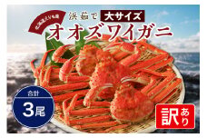 『訳あり』浜茹でオオズワイガニ3尾【えりも産】【er004-050-a】