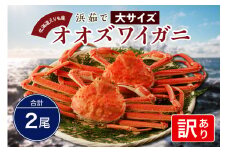 『訳あり』浜茹でオオズワイガニ２尾【えりも産】【er004-049-a】