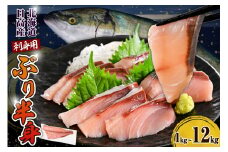 えりも【マルデン特製】(ワンフローズン)北海道日高産ぶり半身1kg～1.2kg【er002-076-a】