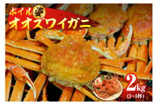 ボイルオオズワイガニ姿 2kg（3～4杯）【er018-063-a】