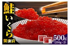 【北港水産】鮭いくら醬油漬け 500g（250g×2）【er018-062-c】/ イクラ 鮭いくら さけいくら さけ サケ 醤油漬 いくら丼 イクラ丼 ふるさと納税 鮭 小分け 鮭卵 魚卵 魚介類 海鮮 海の幸 海産物 冷凍 北海道 えりも町