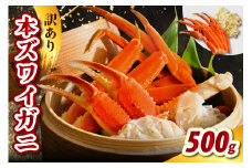 訳アリ本ズワイガニ（500g）【er021-007】蟹 かに カニ脚 足 ボイル 茹で わけあり 規格外 不揃い 魚介 魚介類 海鮮 海の幸 海産物 冷凍 お取り寄せ 送料無料 北海道 えりも町