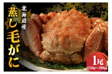 北海道産活蒸し毛蟹約250g～約290g×1尾【er001-107】