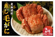 北海道産活蒸し毛蟹約250g～約290g×2尾【er001-108】