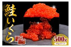 えりも【マルデン特製】鮭いくら醤油漬け250g×2箱【er002-098】