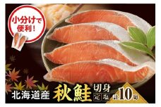 えりも【マルデン特製】北海道産定塩鮭切り身 10切【er002-101】/鮭 秋鮭 塩鮭 白鮭 ブランド魚 個包装 北海道産 魚介 焼き魚 ムニエル 切身 大容量 真空パック 海鮮 海産物 冷凍 えりも町