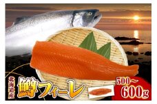 【2026年4月以降発送分】【無塩】鱒フィーレ（500～600g）【er018-088】