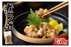 【2025年12月以降発送分】【無調味】煮つぶ貝（250g）【er018-092】