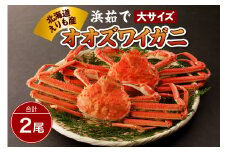 浜茹でオオズワイガニ２尾【えりも産】【er004-003-d】