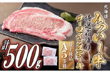 北海道産 黒毛和牛 みついし牛 A5 サーロイン ステーキ 計 500g ( 約 250g × 2枚 ) サーロインステーキ 霜降り 和牛 牛肉 三石牛