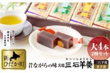 元祖 三石羊羹 詰め合わせ 計 2種 ( 大 4本 ) セット 和菓子 羊羹 ようかん 和 スイーツ