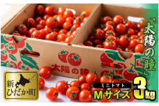 ＜9/15までの受付＞ 北海道産 ミニトマト 太陽の瞳 M サイズ 3kg 新ひだか町産 トマト 新鮮 野菜