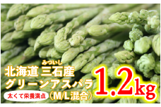 ＜ 7月31日までの受付 ＞  北海道産 グリーンアスパラ M / L 混合 1.2kg 