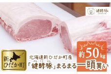 北海道産 健酵豚 まるまる 一頭買い 計 約 50kg  豚肉 ブランドポーク 大容量 