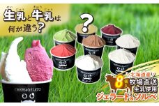 北海道産 生乳 ジェラート アイス 8個 ジェラート セット カップアイス スイーツ デザート