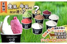 ＜ 6ヶ月 定期便 ＞ 北海道産 生乳 ジェラート アイス 毎月 8個  詰め合わせ ジェラート セット カップアイス スイーツ