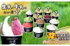 北海道産 生乳 ジェラート アイス 12個 入り ジェラート セット カップアイス スイーツ デザート