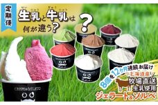 ＜ 12ヶ月 定期便 ＞北海道産 生乳 ジェラート アイス 毎月 8個  詰め合わせ ジェラート セット カップアイス スイーツ