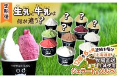 ＜ 6ヶ月 定期便 ＞北海道産 生乳 ジェラート アイス 毎月 12個  詰め合わせ ジェラート セット カップアイス スイーツ