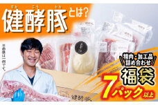 北海道産 健酵豚 お楽しみ福袋 7パック以上 豚肉 精肉 加工品 福袋 詰め合わせ ブランドポーク