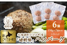 北海道産 健酵豚 ハンバーグ 計 900g (150g ×6個)  豚肉 ブランドポーク ハンバーグステーキ 簡単調理 惣菜 