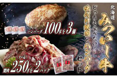 北海道産 味付け 焼肉 ＆  北海道産 黒毛和牛 みついし牛 と ホエー豚 ハンバーグ 計 800g ( 250g × 2パック ＆ 100g × 3枚 )  和牛 牛肉 豚肉 惣菜 三石牛
