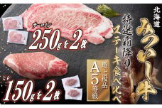 北海道産 黒毛和牛 みついし牛 A5 サーロイン ＆ ヒレ ステーキ 計 800g ( 約 200g × 4枚 各 2枚 ) 霜降り 和牛 食べ比べ 三石牛