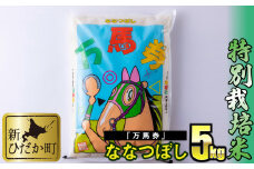 北海道産 特別栽培米 ななつぼし 万馬券 5kg 白米 精米 お米 北海道米 