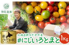 ＜ 2025年 8月 上旬 より順次発送 ＞ 北海道産 カラフルトマト ミニトマト 1kg  ＃にじいろとまと ＜ 予約商品 ＞  北海道 とまとトマト 夏野菜 贈答 旬 新鮮 
