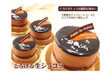リッチな味わい♪チョコレートケーキ『とろける生ショコラ』　北海道・新ひだか町のオリジナルケーキ チョコレートケーキ 生チョコ 生ショコラ 誕生日 お祝い