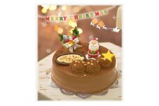 北海道・新ひだか町のクリスマスケーキ『生チョコラータ』口どけなめらか 生チョコレートケーキ【お届け予定：12/20～12/24】冷凍発送 クリスマスケーキ クリスマス チョコレートケーキ