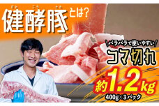 北海道産 健酵豚 小間切れ 計 1.2kg ( 400g × 3パック ) 豚肉 ブランドポーク 大容量 小分け こま切れ