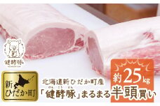 北海道産 健酵豚 半頭買い 計 約 25kg  豚肉 ロース 肩ロース バラ ヒレ ウデ モモ ブロック 