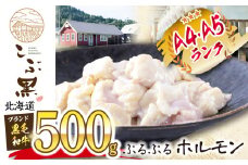 北海道産 黒毛和牛 こぶ黒 ぷるぷる 和牛 ホルモン  500g   黒毛和牛 和牛 ぷるぷる 和牛 ホルモン もつ モツ 