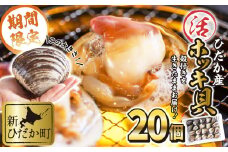 ＜ 11月中旬より順次発送 ＞ 北海道産 活ホッキ 貝 20個 ホッキ 北寄 北寄貝 貝 殻付き 海鮮 海産物 新鮮 旬 ＜ 予約受付 ＞