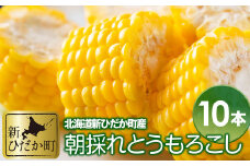 ＜ 8月上旬 から発送 ＞北海道産 とうもろこし 10本 サイズ混合 ＜ 予約商品 ＞ とうもろこし とうきび 旬 新鮮
