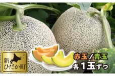 ＜ 7月中旬より発送 ＞ 北海道産 メロン 赤肉 青肉 各1玉 食べ比べ セット 北海道 めろん 果物 フルーツ 旬 贈答 ＜ 予約受付 ＞