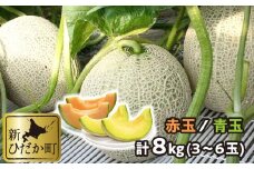 ＜ 2025年 7月中旬より発送 ＞ 北海道産 メロン 赤肉 青肉 8kg 3～6玉 食べ比べ セット ＜ 予約商品 ＞ 北海道 めろん 果物 フルーツ 旬 贈答 