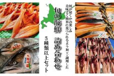 北海道産 旬 の 魚介 5種 以上 豪華 お魚 魚 旬の魚 お楽しみ セット 詰め合わせ