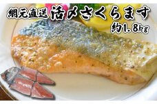 北海道産 さくらます 半身 1.8kg サクラマス さくらます 鱒 マス
