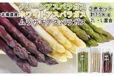 北海道産 アスパラ 計 1.5kg グリーン ホワイト ムラサキ セット 北海道 グリーンアスパラ ホワイトアスパラ ムラサキアスパラ 旬 新鮮 食べ比べ