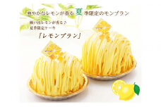夏季限定 レモンブラン 北海道・新ひだか町からお届けします レモンケーキ ケーキ レモン モンブラン