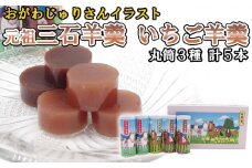 元祖 三石羊羹 いちご羊羹 いちごお試し 計 3種 ( 丸筒 3種 5本 ) セット 和菓子 羊羹 ようかん 和 スイーツ