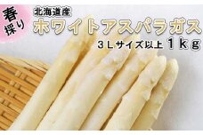 ＜先行予約＞ 北海道産 春採り ホワイト アスパラガス 1kg 3Lサイズ 以上 ＜2023年5月上旬より発送＞ 北海道 ホワイトアスパラ 旬 新鮮