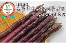 ＜6月15日までの受付＞ 北海道産 春採り ムラサキ アスパラガス 1kg 3Lサイズ 以上 ＜2025年4月中旬より発送＞  北海道 ムラサキアスパラ 旬 新鮮
