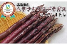 ＜6月15日までの受付＞ 北海道産 春採り ムラサキ アスパラガス 1kg 2Lサイズ ＜2025年4月中旬より発送＞ 北海道 ムラサキアスパラ 旬 新鮮