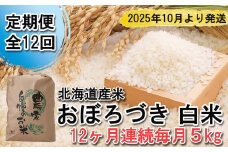 ＜ 予約 定期便 全12回 ＞ 北海道産 希少米 おぼろづき 白米 5kg ＜2025年10月より配送＞ 新米 お米 米 こめ 北海道米