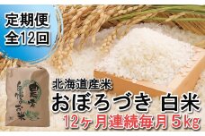 ＜ 定期便 12回 ＞ 北海道産 希少米 おぼろづき 白米 5kg 毎月 12回  新米 お米 米 こめ 北海道米